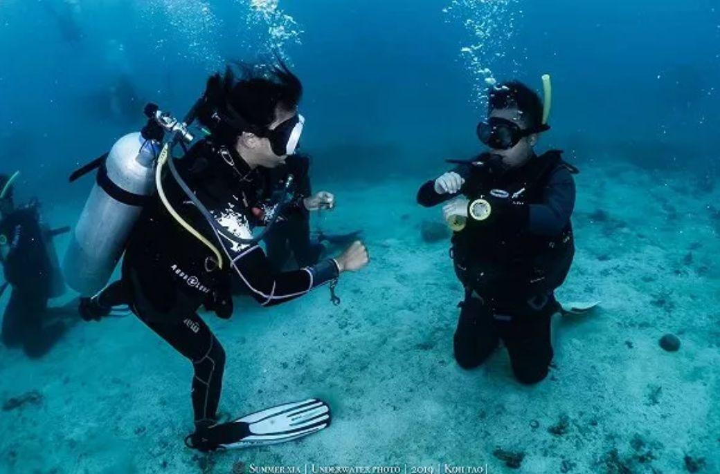 牛油果面包