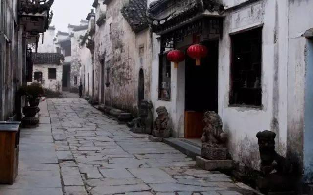 阿立哌唑营养成人的脑神经吗？