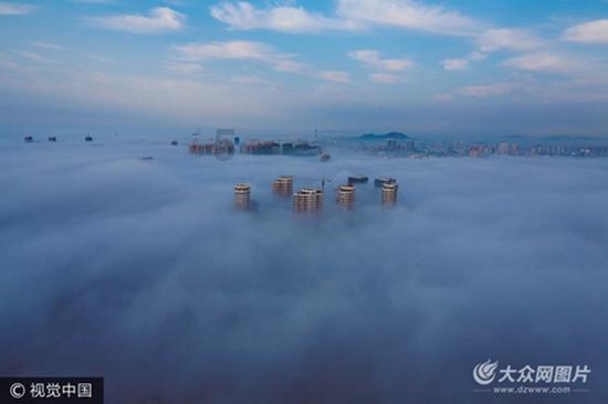 “明星”加持,客战龙狮